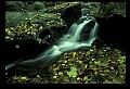 02123-00109-West Virginia Waterfalls.jpg