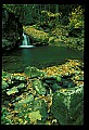 02123-00110-West Virginia Waterfalls.jpg