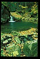 02123-00111-West Virginia Waterfalls.jpg