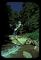 02123-00181-West Virginia Waterfalls.jpg