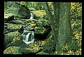 02123-00184-West Virginia Waterfalls.jpg