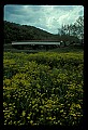 02125-00007-West Virginia Covered Bridges.jpg