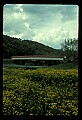 02125-00008-West Virginia Covered Bridges.jpg