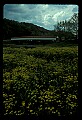 02125-00009-West Virginia Covered Bridges.jpg