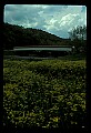 02125-00010-West Virginia Covered Bridges.jpg