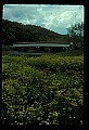 02125-00011-West Virginia Covered Bridges.jpg