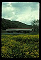 02125-00012-West Virginia Covered Bridges.jpg