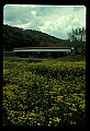 02125-00013-West Virginia Covered Bridges.jpg