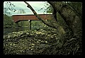02125-00019-West Virginia Covered Bridges.jpg