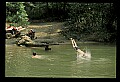 02200-00004-West Virginia Activities.jpg