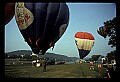 02201-00054-Hot Air Balloons in WV.jpg