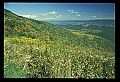 02250-00033-National Radioastronomy Observatory, Greenbank, WV-Radiotelesope.jpg