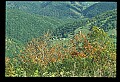 02250-00034-National Radioastronomy Observatory, Greenbank, WV-Radiotelesope.jpg