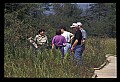 00000-00600-Boardwalk-Cranberry Glades Botanical Area.jpg