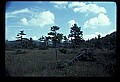 02251-00003-Cranberry Glades, Botanical and Wilderness Area.jpg