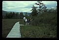 02251-00016-Cranberry Glades, Botanical and Wilderness Area.jpg