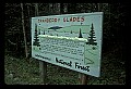 02251-00024-Cranberry Glades, Botanical and Wilderness Area.jpg