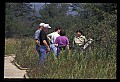 02251-00026-Cranberry Glades, Botanical and Wilderness Area.jpg