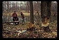 02251-00032-Cranberry Glades, Botanical and Wilderness Area.jpg