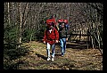 02251-00033-Cranberry Glades, Botanical and Wilderness Area.jpg