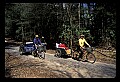 02251-00044-Cranberry Glades, Botanical and Wilderness Area.jpg