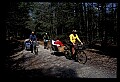 02251-00045-Cranberry Glades, Botanical and Wilderness Area.jpg