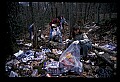 02251-00055-Cranberry Glades, Botanical and Wilderness Area.jpg