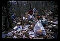 02251-00056-Cranberry Glades, Botanical and Wilderness Area.jpg