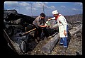 02251-00073-Cranberry Glades, Botanical and Wilderness Area.jpg