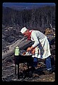 02251-00090-Cranberry Glades, Botanical and Wilderness Area.jpg