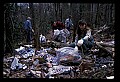 02251-00107-Cranberry Glades, Botanical and Wilderness Area.jpg