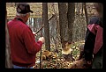 02251-00112-Cranberry Glades, Botanical and Wilderness Area.jpg