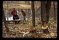 02251-00116-Cranberry Glades, Botanical and Wilderness Area.jpg