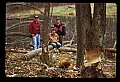 02251-00120-Cranberry Glades, Botanical and Wilderness Area.jpg