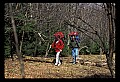 02251-00136-Cranberry Glades, Botanical and Wilderness Area.jpg