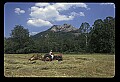 02252-00002-Seneca Rocks National Recreation Area.jpg