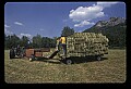 02252-00025-Seneca Rocks National Recreation Area.jpg