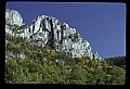 02252-00032-Seneca Rocks National Recreation Area, WV.jpg