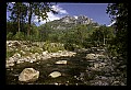 02252-00062-Seneca Rocks National Recreation Area, WV.jpg