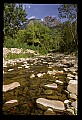 02252-00066-Seneca Rocks National Recreation Area, WV.jpg