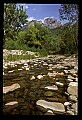 02252-00068-Seneca Rocks National Recreation Area, WV.jpg