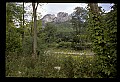 02252-00089-Seneca Rocks National Recreation Area, WV.jpg