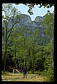 02252-00136-Seneca Rocks National Recreation Area, WV.jpg