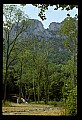 02252-00137-Seneca Rocks National Recreation Area, WV.jpg