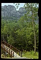 02252-00139-Seneca Rocks National Recreation Area, WV.jpg