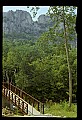 02252-00139-Seneca Rocks National Recreation Area, WV.jpg
