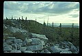 02253-00017-Dolly Sods National Recreation Area, WV.jpg