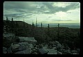 02253-00022-Dolly Sods National Recreation Area, WV.jpg