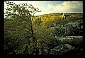 02253-00025-Dolly Sods National Recreation Area, WV.jpg