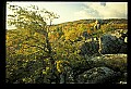 02253-00026-Dolly Sods National Recreation Area, WV.jpg